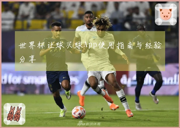 世界杯让球买球App使用指南与经验分享