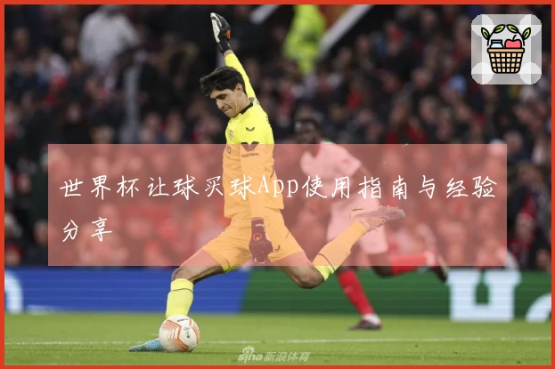 世界杯让球买球App使用指南与经验分享
