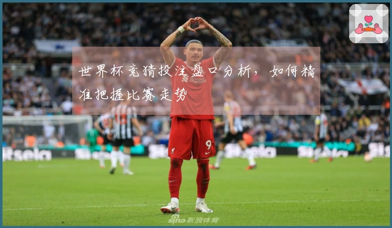 世界杯竞猜投注盘口分析，如何精准把握比赛走势