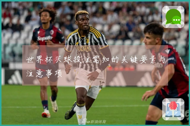 世界杯买球投注需知的关键要素与注意事项