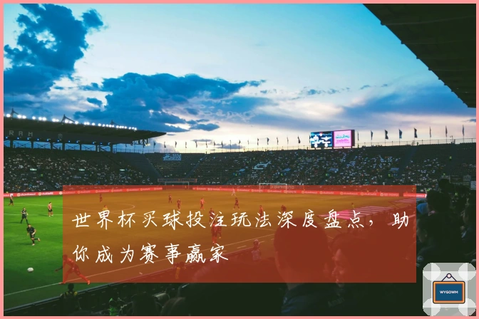 世界杯买球投注玩法深度盘点，助你成为赛事赢家